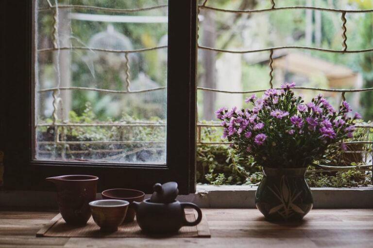 Vase, pot percé, pot non percé : quelle est la meilleure option en fonction des plantes ?